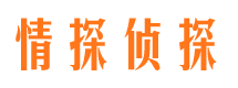 青云谱市婚外情调查